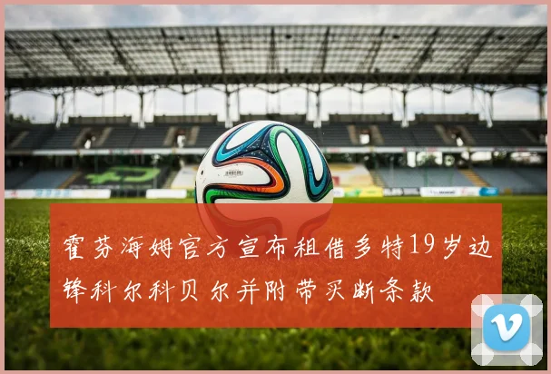 霍芬海姆官方宣布租借多特19岁边锋科尔科贝尔并附带买断条款