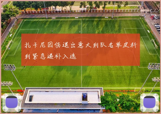 扎卡尼因伤退出意大利队名单皮科利紧急递补入选