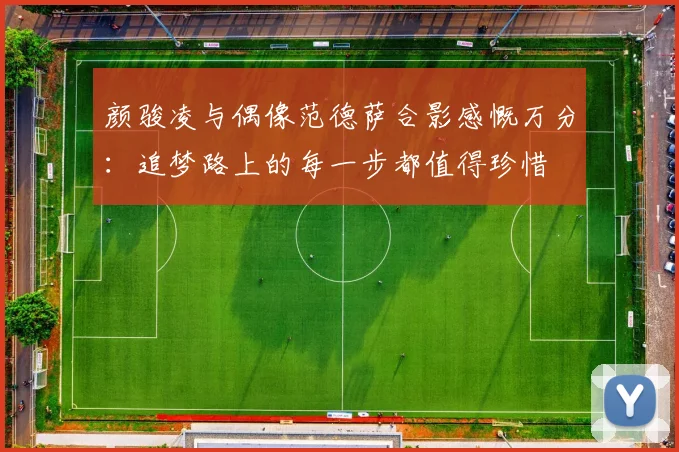颜骏凌与偶像范德萨合影感慨万分：追梦路上的每一步都值得珍惜